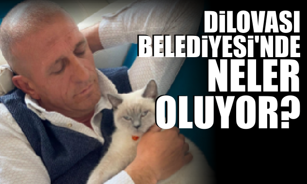 hacı kocabay dilovası belediyesi paravan şirketler