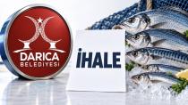 Darıca Belediyesi balık alımı için ihaleye çıkıyor